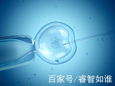 Dr. Zhang